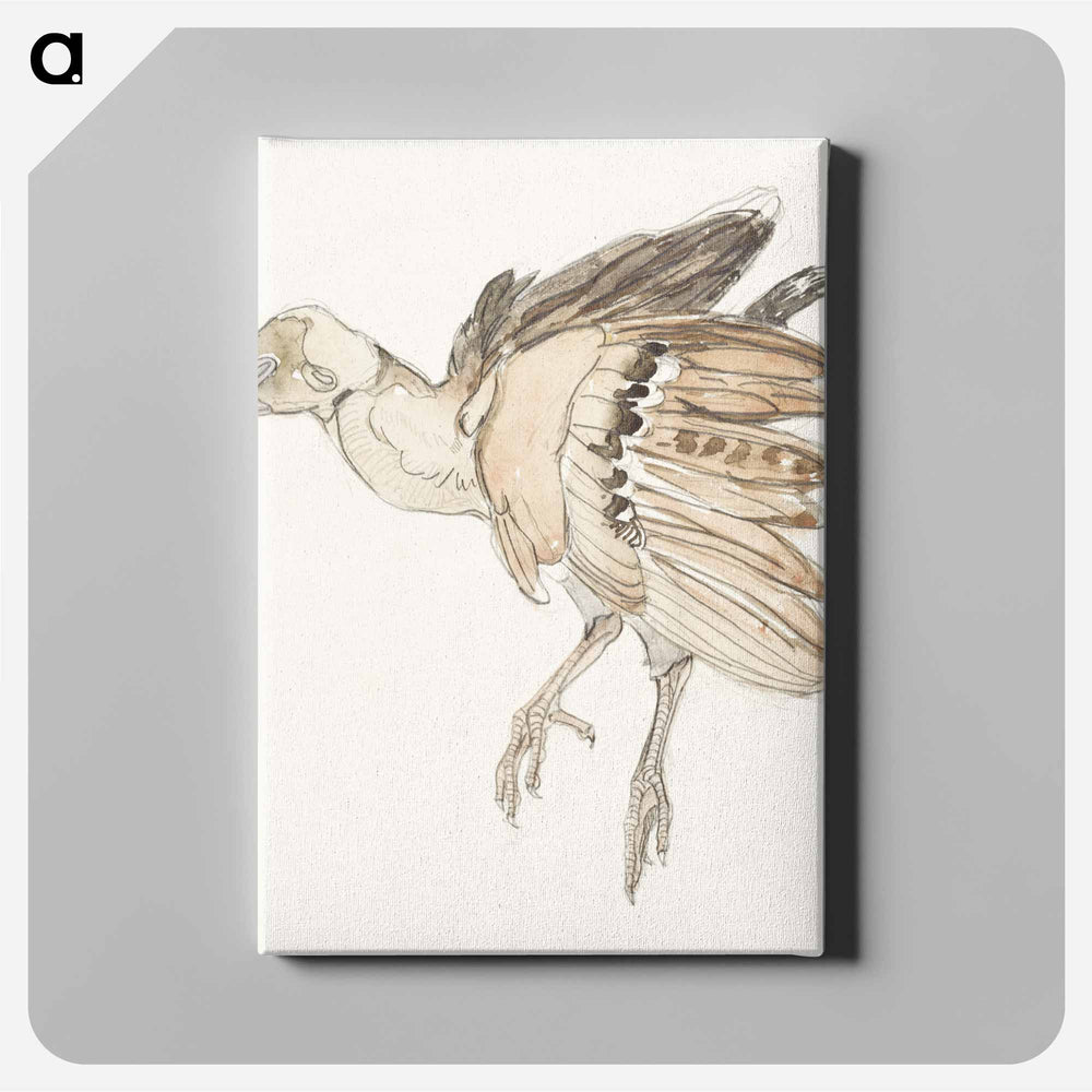 Who is my patrijs? - Theo van Hoytema Canvas.