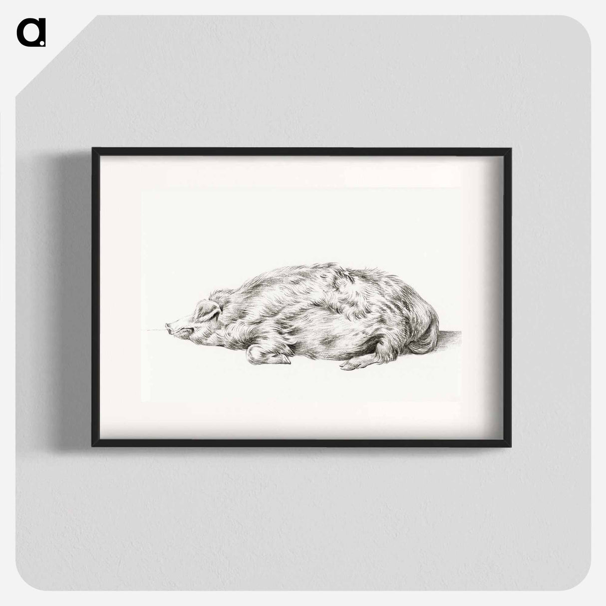 Lying pig - Jean Bernard Poster.