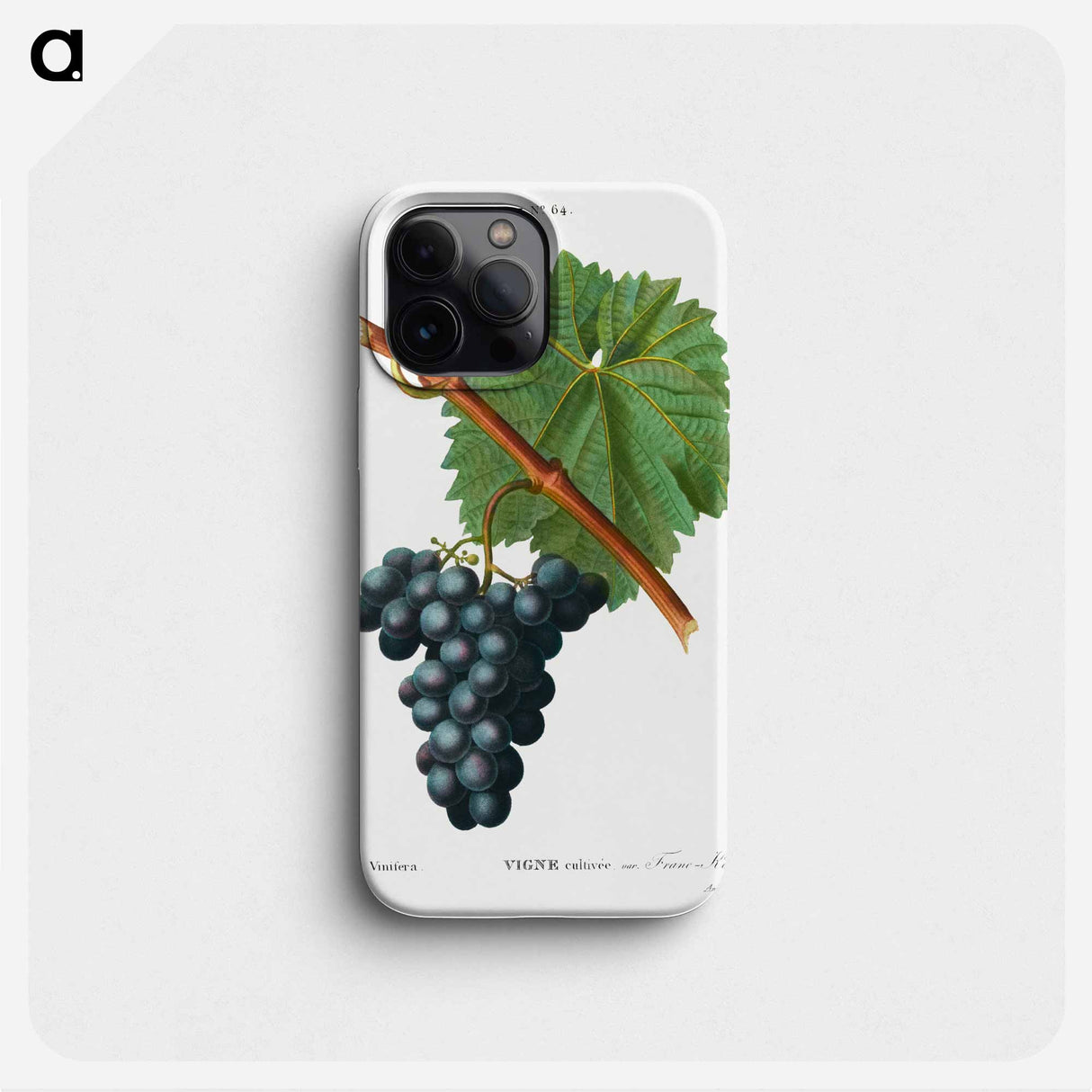 Grape vine, Vitis vinifera - Pierre Joseph Redouté Phone Case.