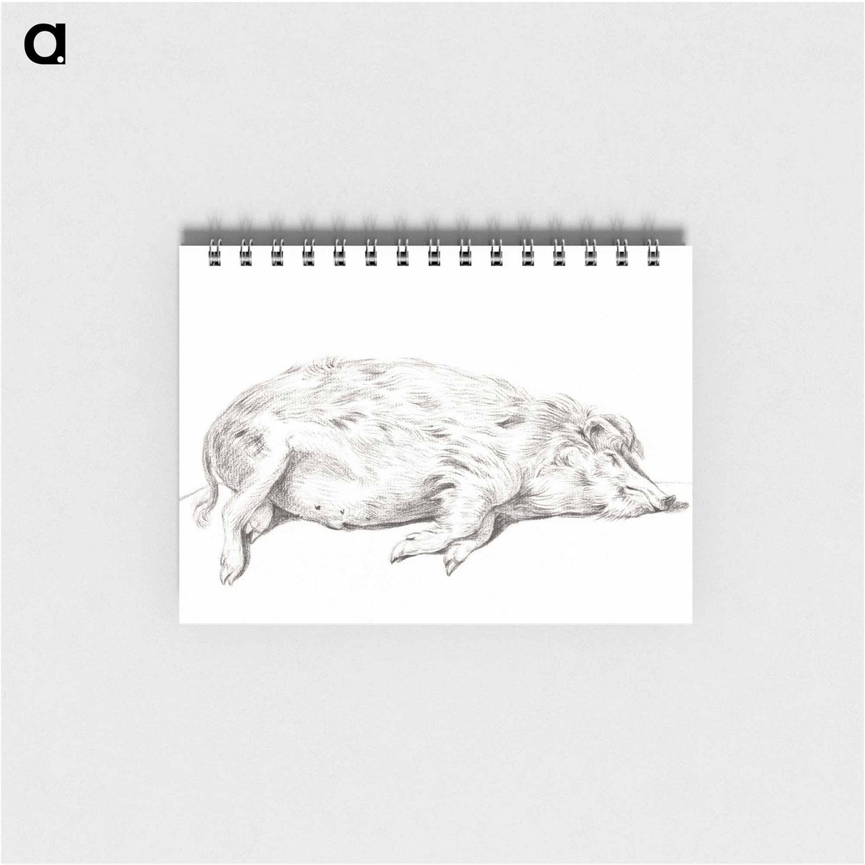 Lying pig - ジャン ベルナール Memo.