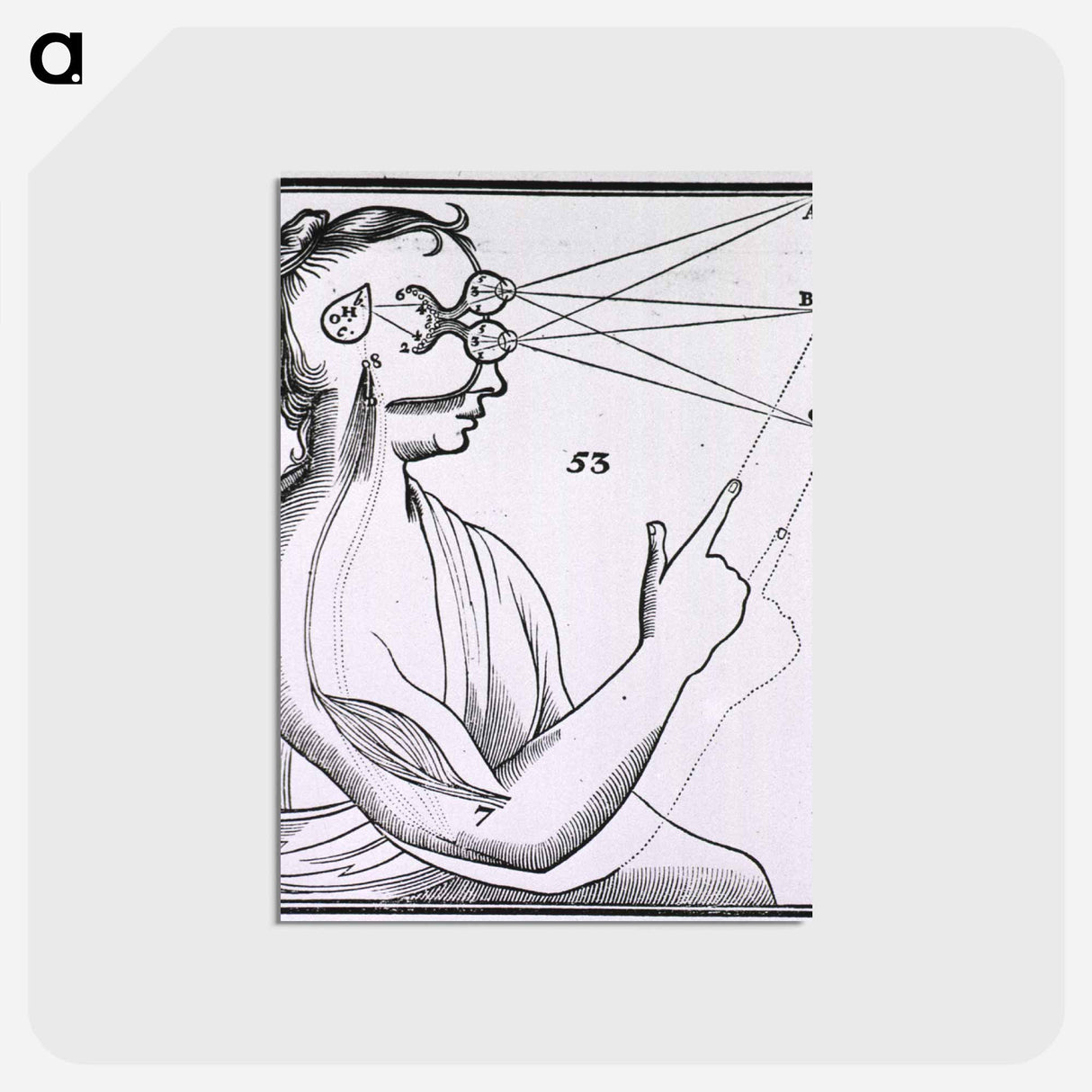 アートポストカード-Vision and the Mechanism for Response to External Stimuli
- 国立医学図書館 Postcard.