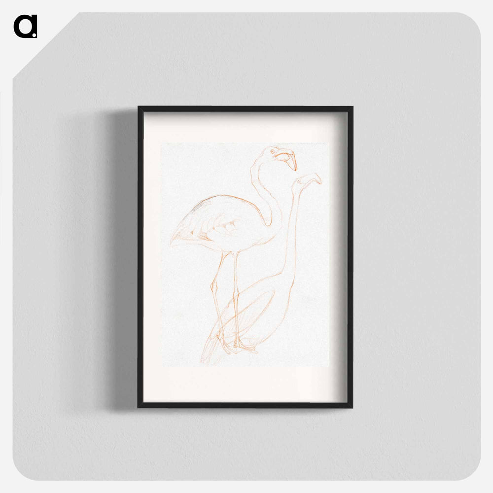 Twee studies of a flamingo - Theo van Hoytema Poster.