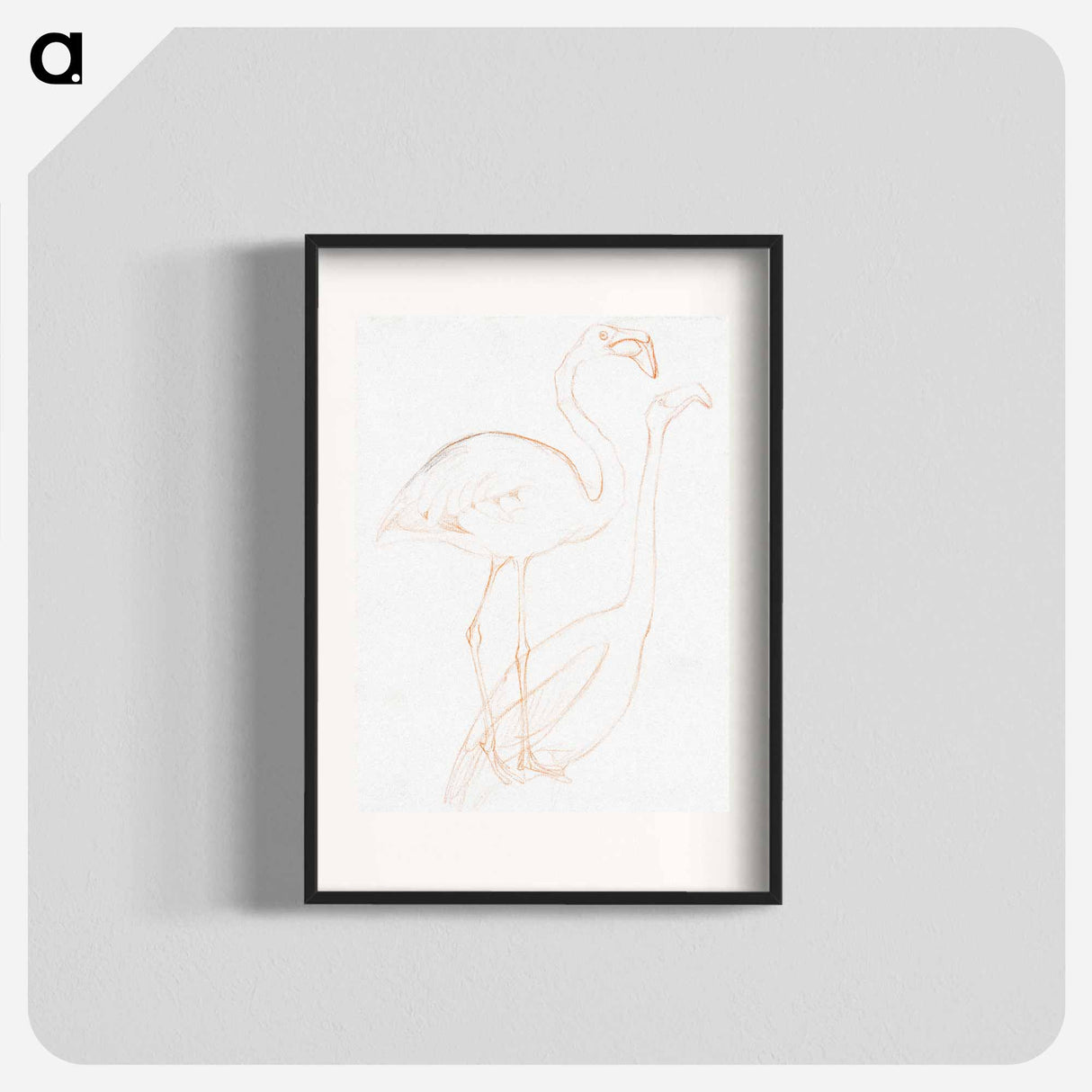 Twee studies of a flamingo - Theo van Hoytema Poster.