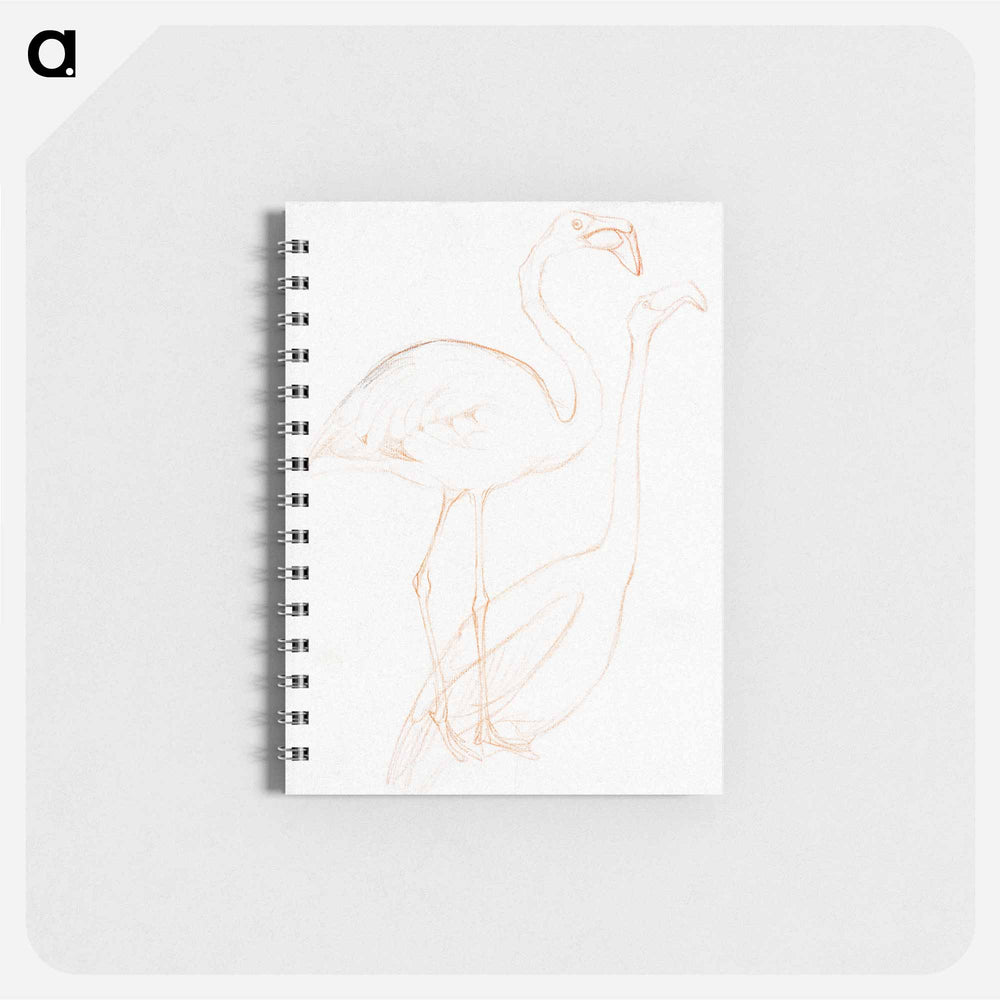 Twee studies van een flamingo - テオ ヴァン ホイテマ Memo.