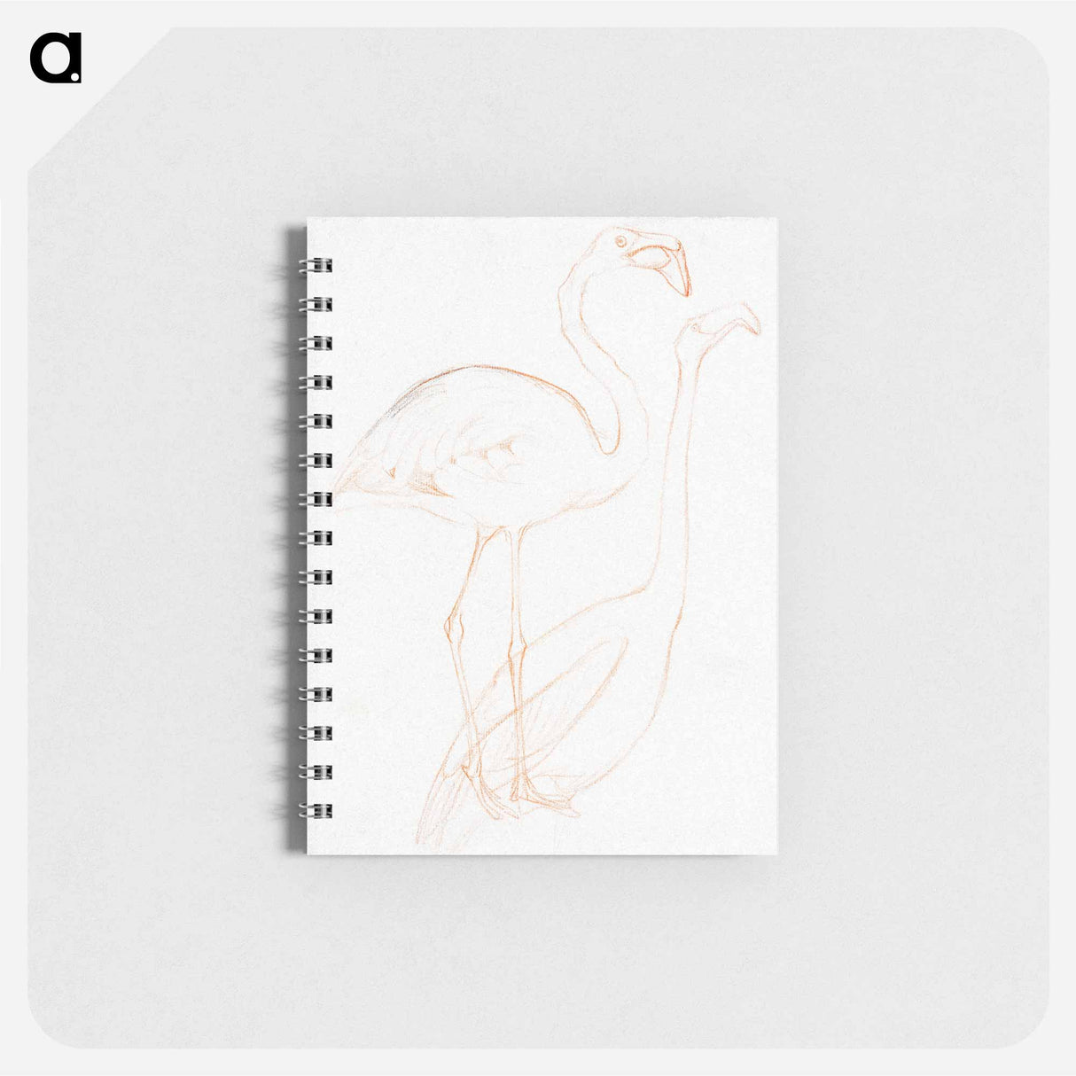 Twee studies van een flamingo - テオ ヴァン ホイテマ Memo.