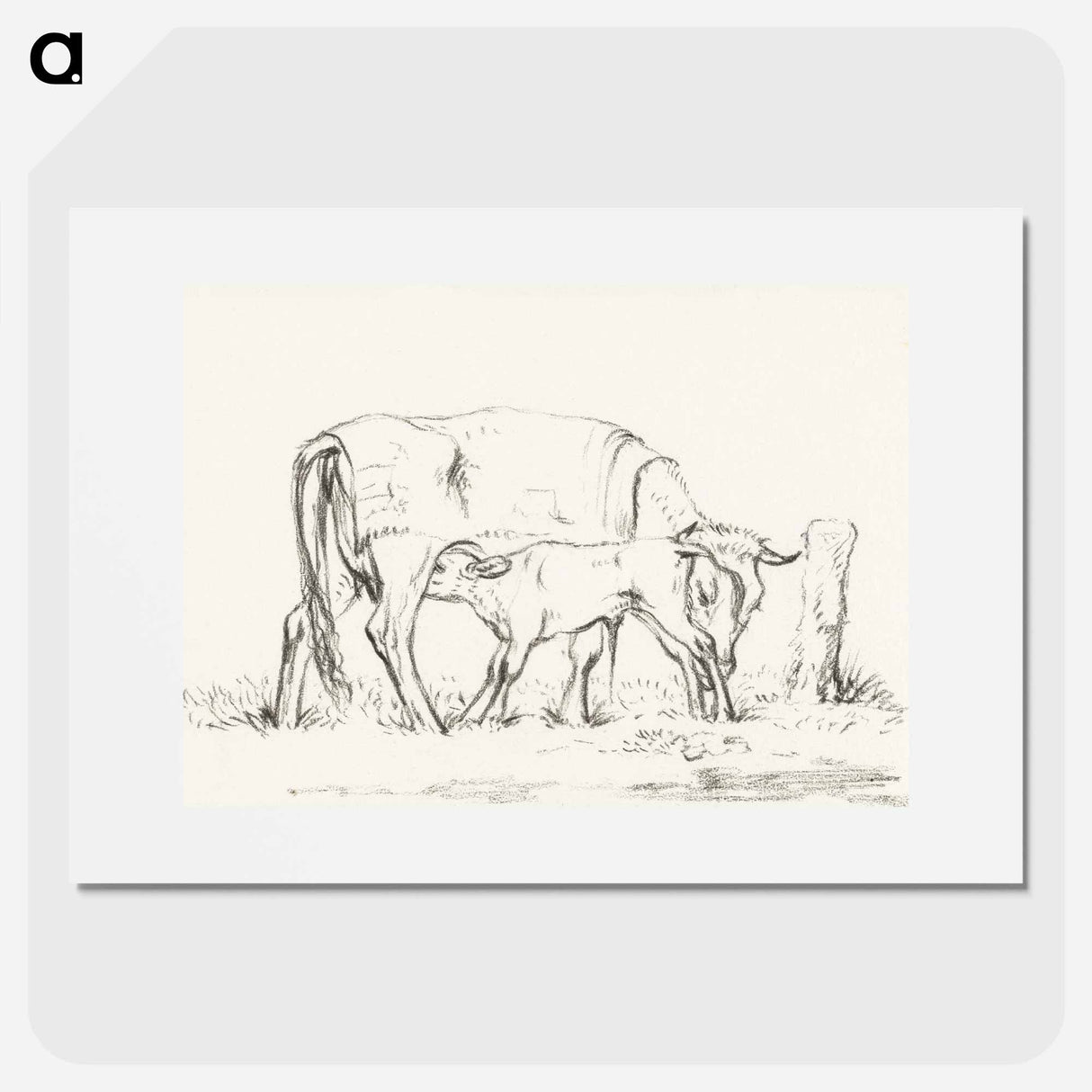 Calf drinking with his mother - Jean Bernard Poster.