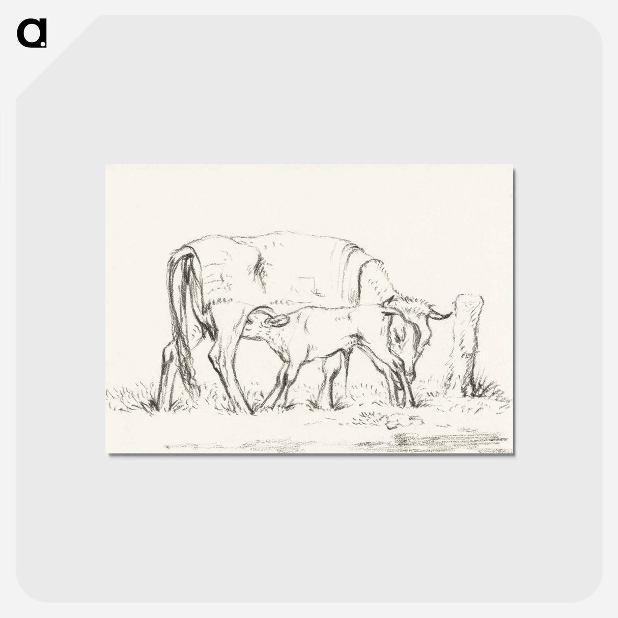 アートポストカード-Calf drinking with his mother - ジャン ベルナール Postcard.