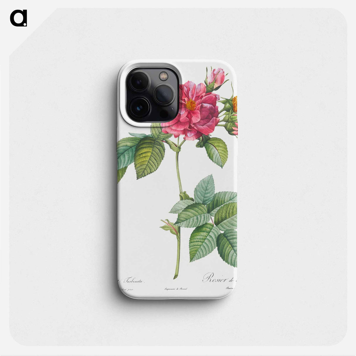 Rosa turbinata - Pierre Joseph Redouté Phone Case.