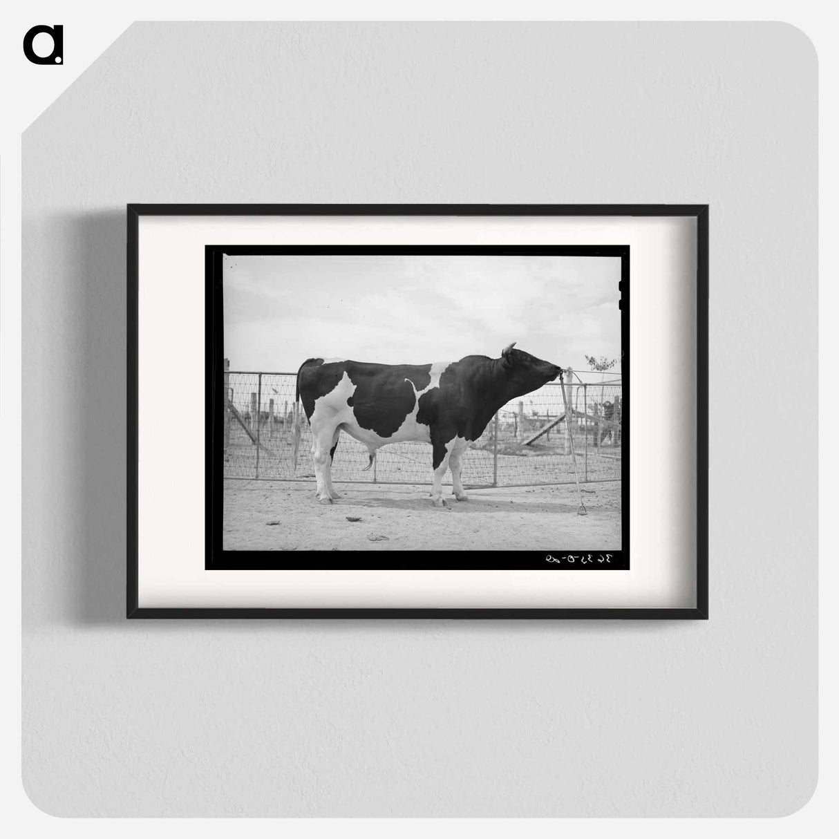 アートポスター-Casa Grande Herd Bull
- ラッセル リー Poster.