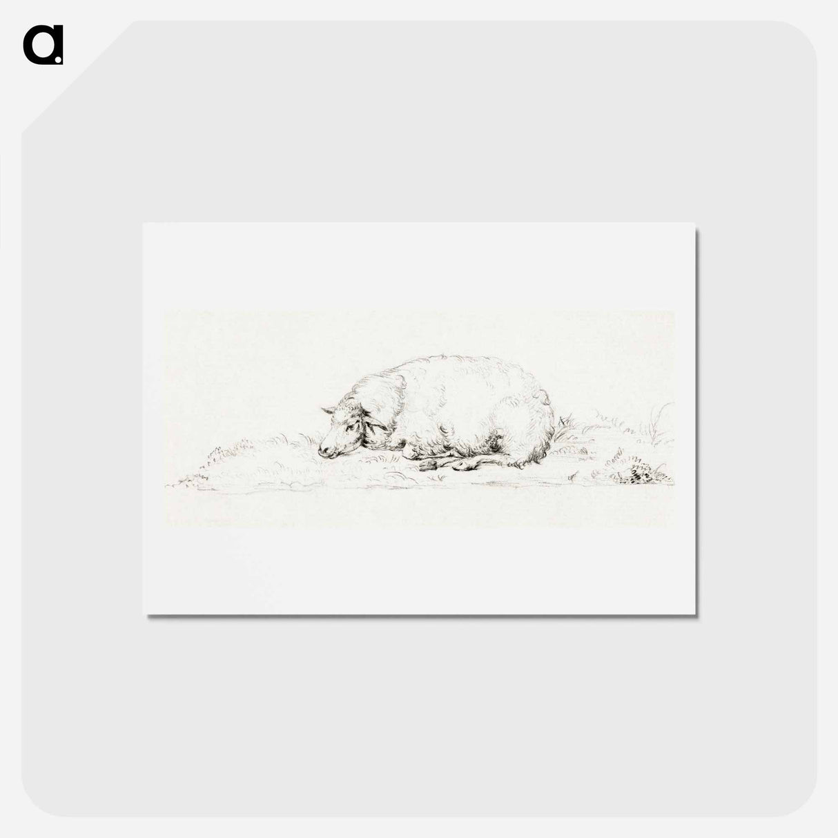 アートポストカード-Lying sheep - ジャン ベルナール Postcard.