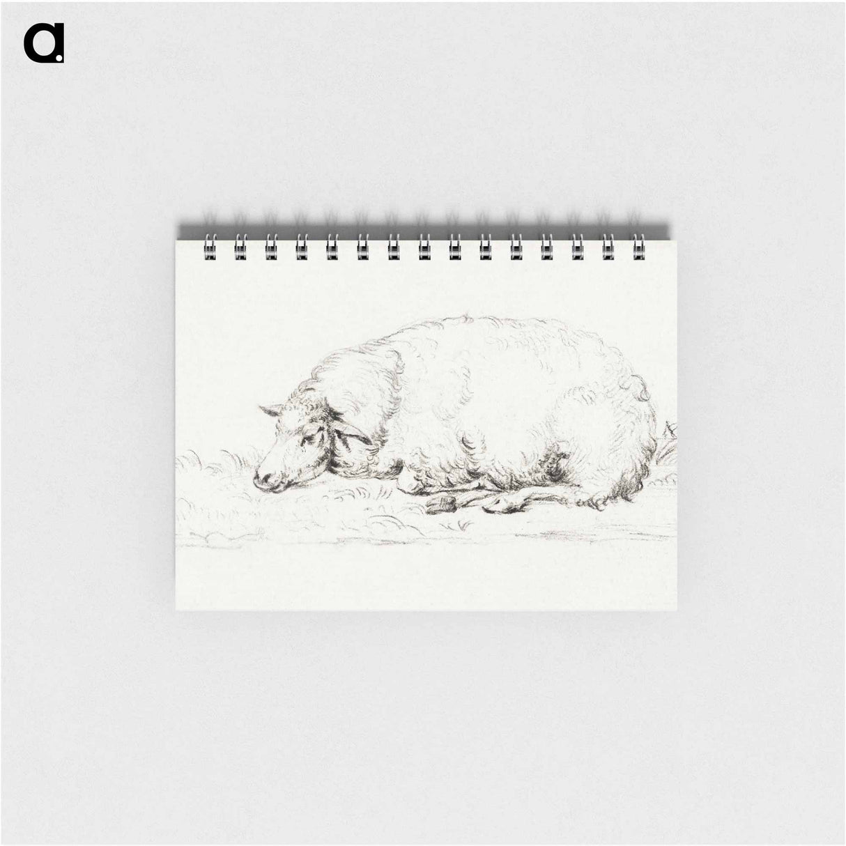 Lying sheep - ジャン ベルナール Memo.