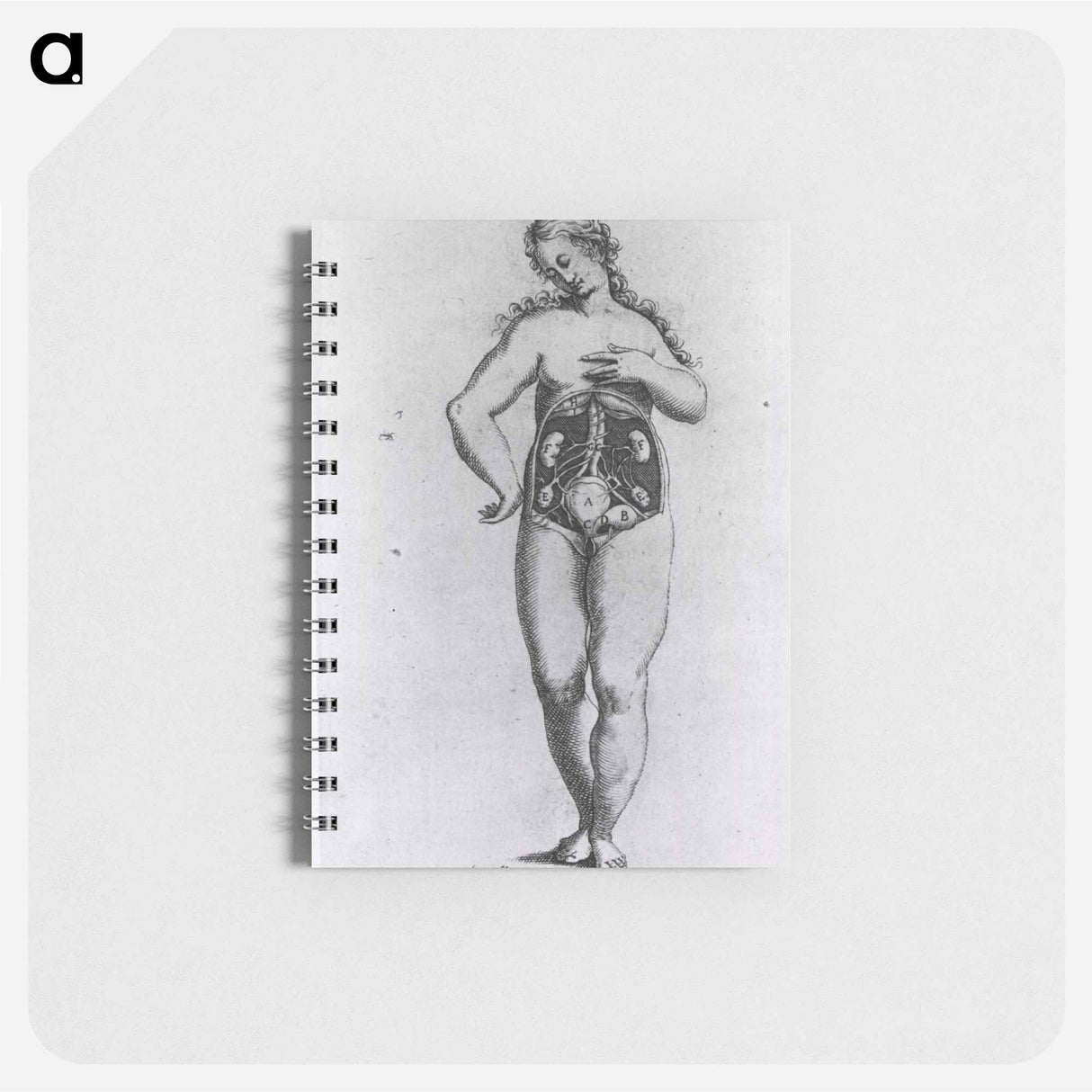 アートメモ帳-Nude Female Figure with Anatomical View of Urogenital System
- 国立医学図書館 Memo.