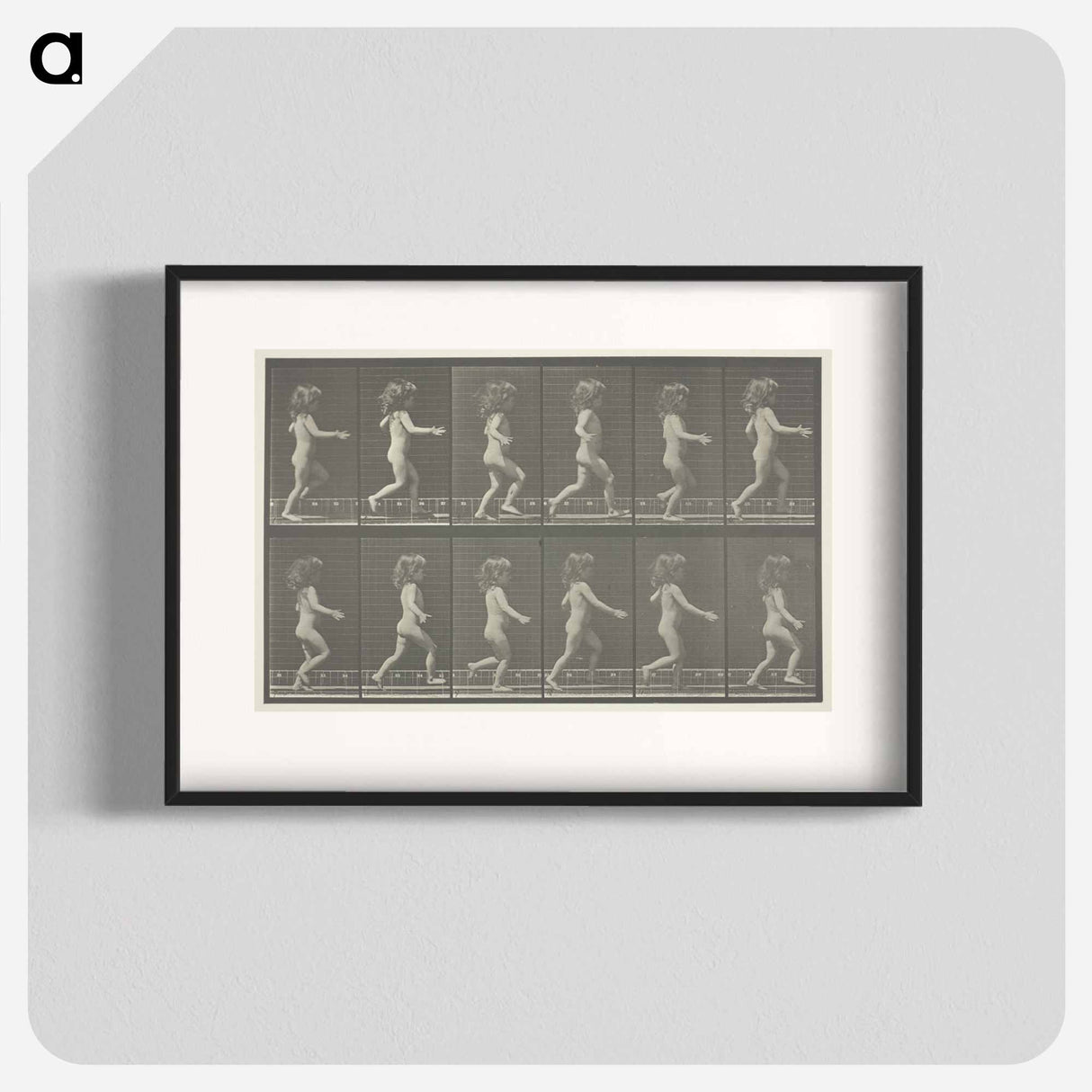 アートポスター-Animal Locomotion, Plate 469
- エドワード マイブリッジ Poster.