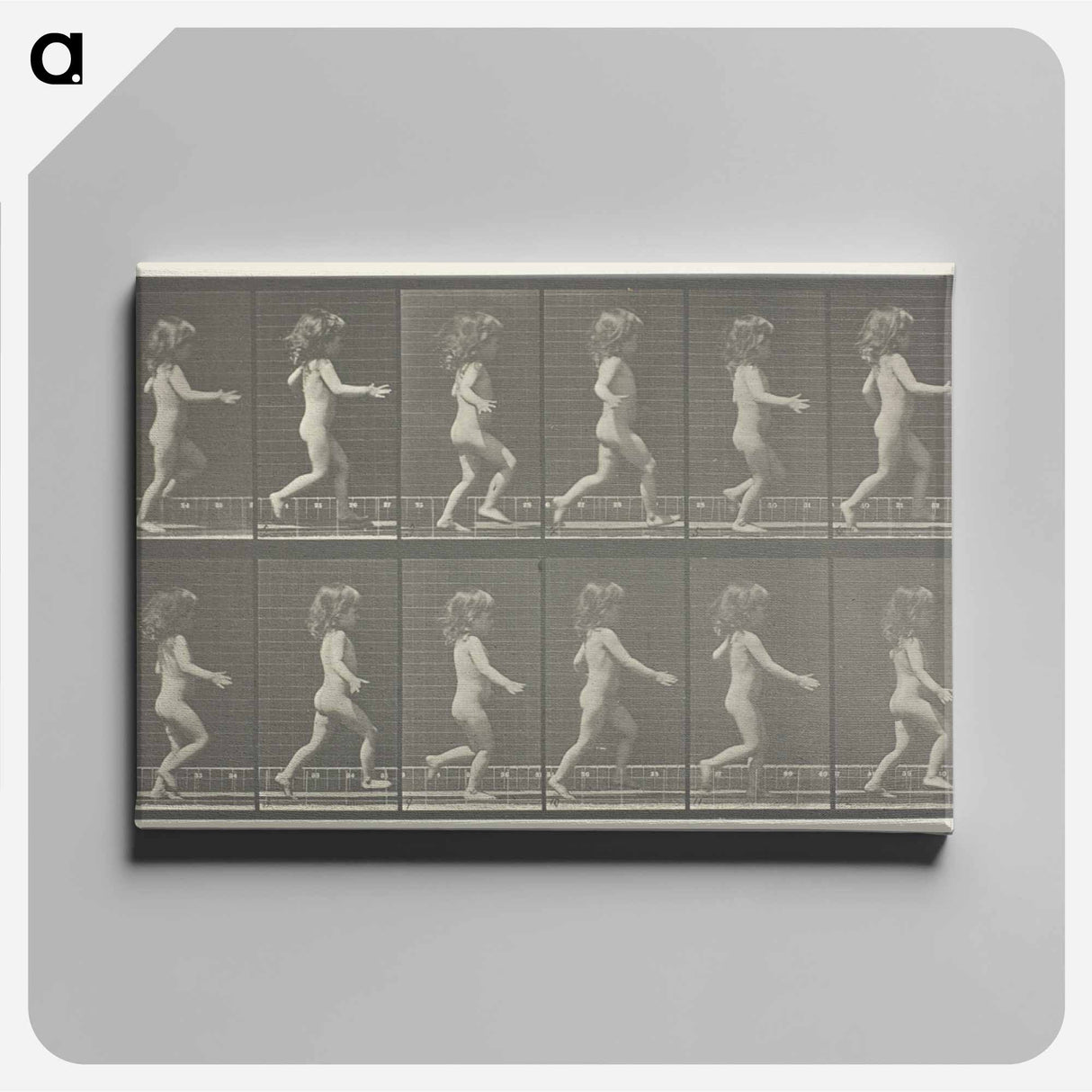 アートパネル-Animal Locomotion, Plate 469
- エドワード マイブリッジ Canvas.