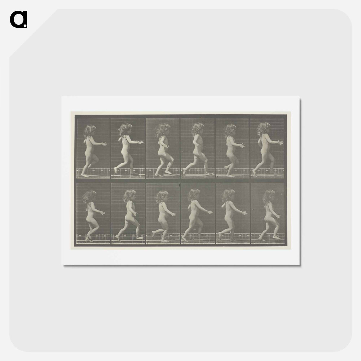 アートポストカード-Animal Locomotion, Plate 469
- エドワード マイブリッジ Postcard.