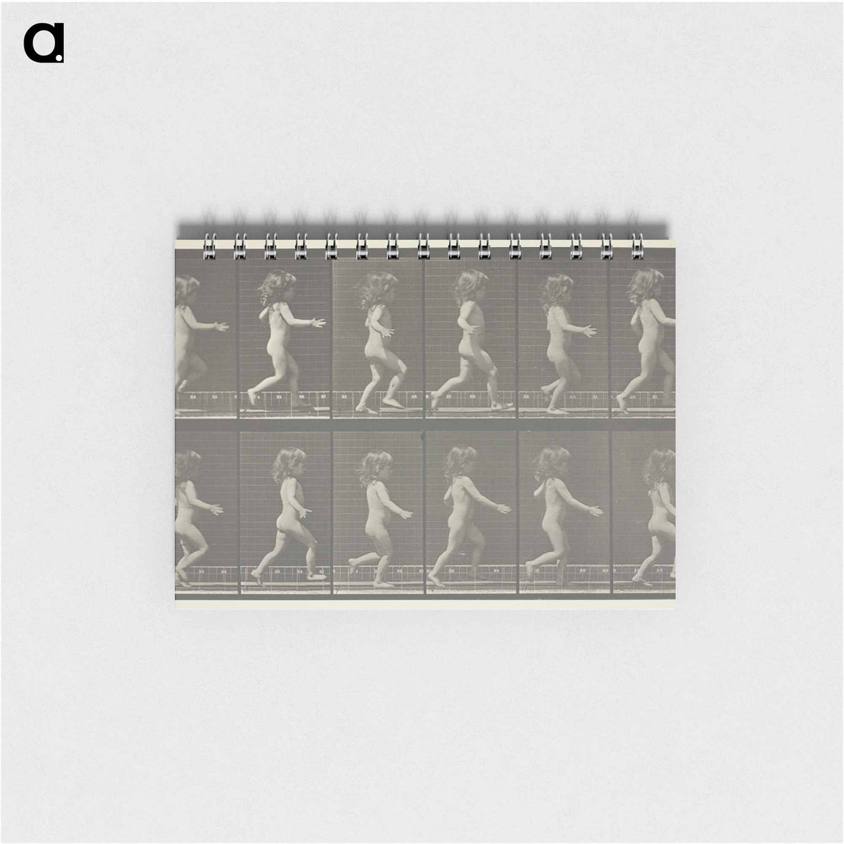 アートメモ帳-Animal Locomotion, Plate 469
- エドワード マイブリッジ Memo.