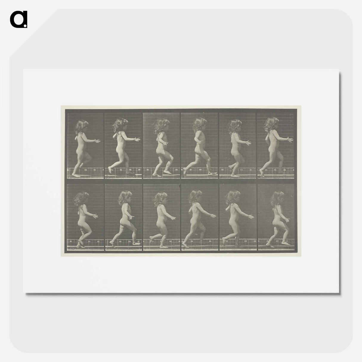 アートポスター-Animal Locomotion, Plate 469
- エドワード マイブリッジ Poster.