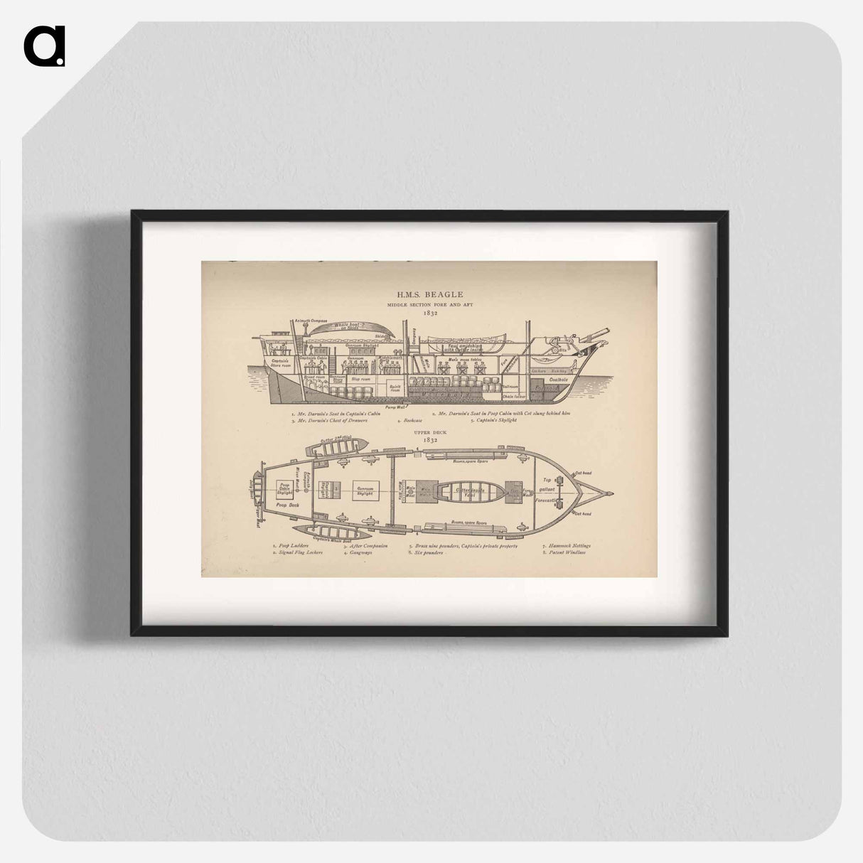 アートポスター-H.M.S. Beagle: Middle Section fore and aft, Upper Deck
- 国立医学図書館 Poster.