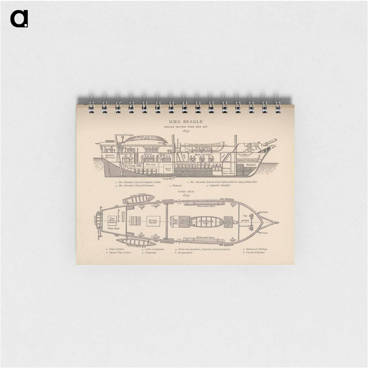 アートメモ帳-H.M.S. Beagle: Middle Section fore and aft, Upper Deck
- 国立医学図書館 Memo.