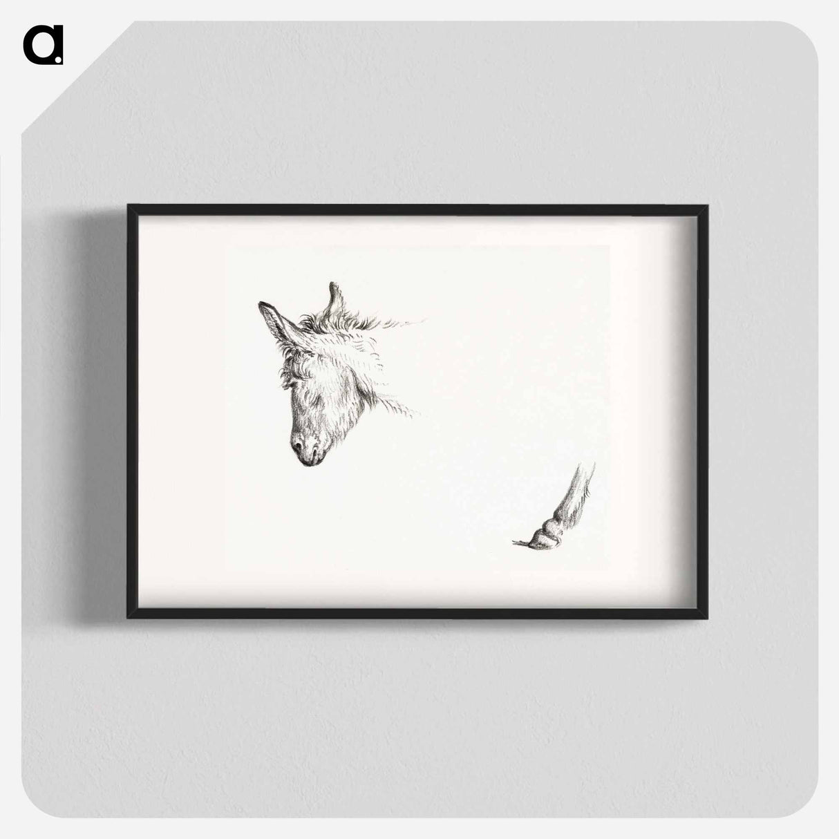 Head and paw of an ass - Jean Bernard Poster.