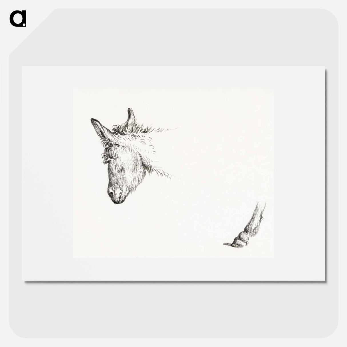 Head and paw of an ass - Jean Bernard Poster.