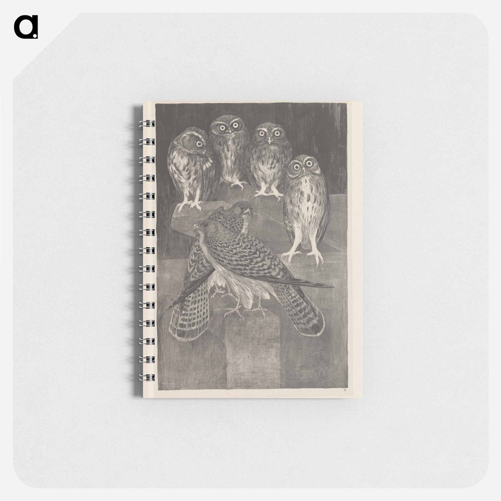 Vier steenuilen en twee torenvalken - テオ ヴァン ホイテマ Memo.