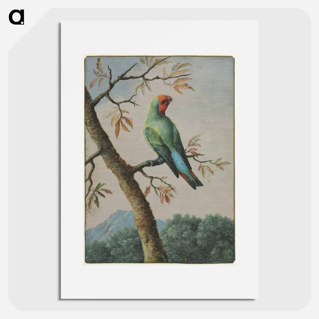 アートポスター-Bird Study
- クリーブランド美術館 Poster.
