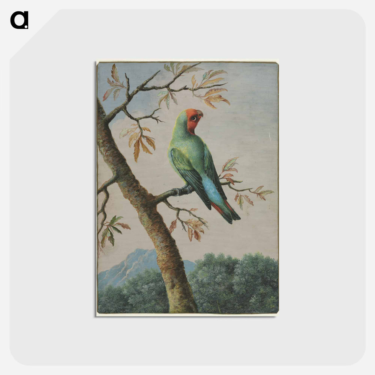 アートポストカード-Bird Study
- クリーブランド美術館 Postcard.