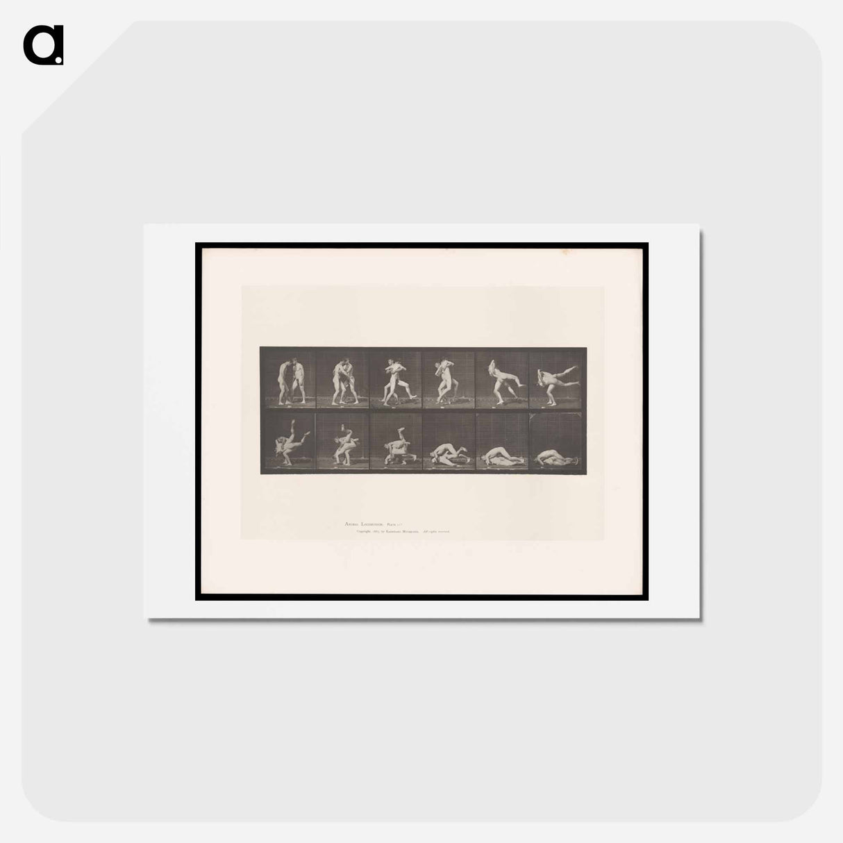 アートポストカード-Wrestling Figures
- エドワード マイブリッジ Postcard.