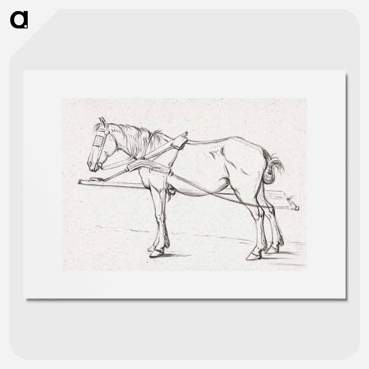 Standing harnessed horse - ジャン ベルナール Poster.