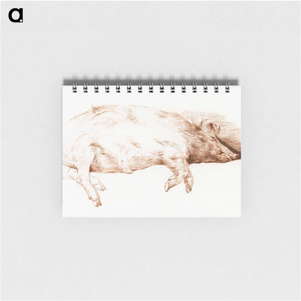 Lying pig - ジャン ベルナール Memo.