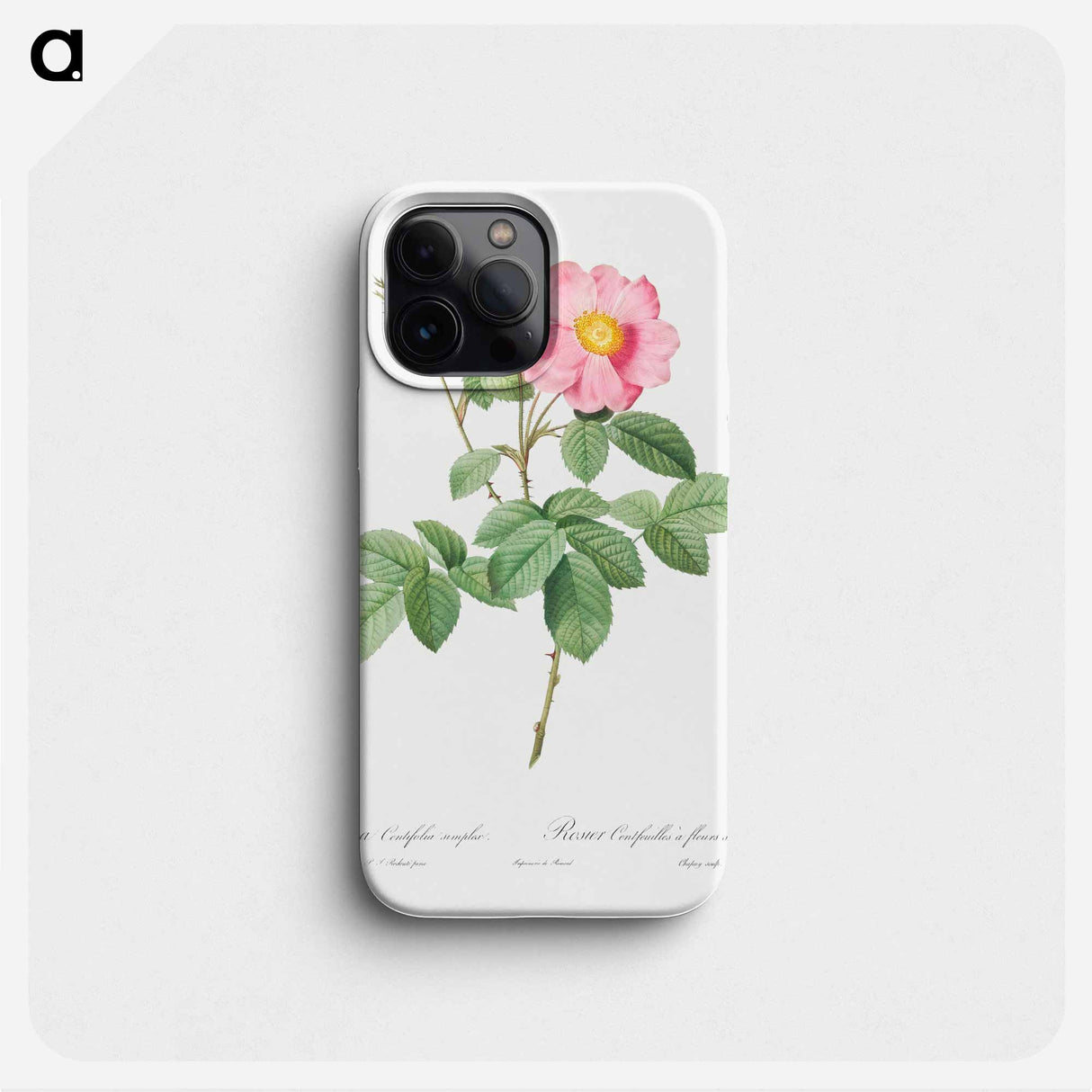 Single-Flowered Cabbage Rose - Pierre Joseph Redouté Phone Case.