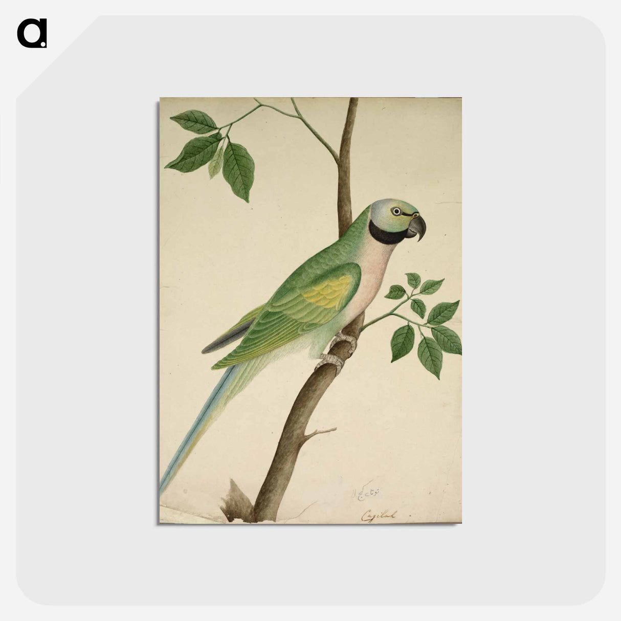 アートポストカード-Cleveland Museum of Art
- クリーブランド美術館 Postcard.