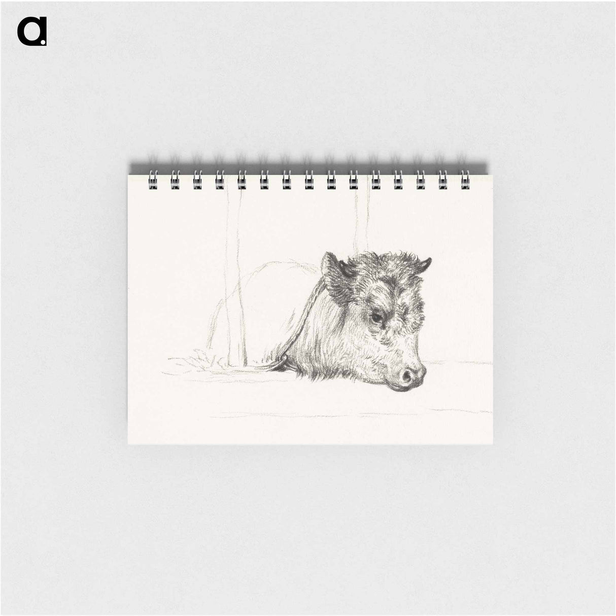 Head of a cow - ジャン ベルナール Memo.