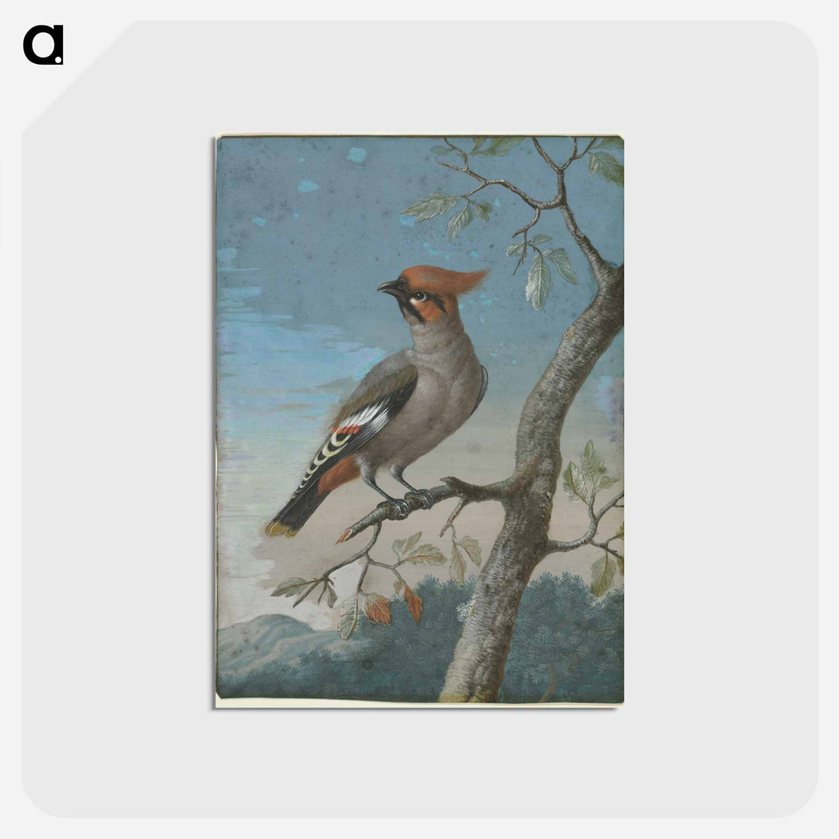 アートポストカード-Bird Study
- クリーブランド美術館 Postcard.