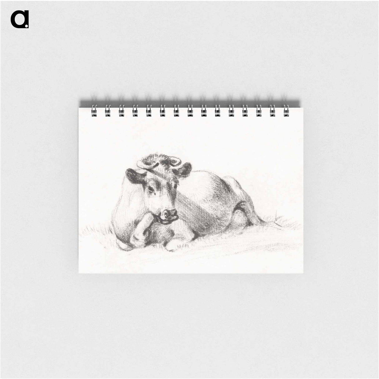 Lying cow - ジャン ベルナール Memo.