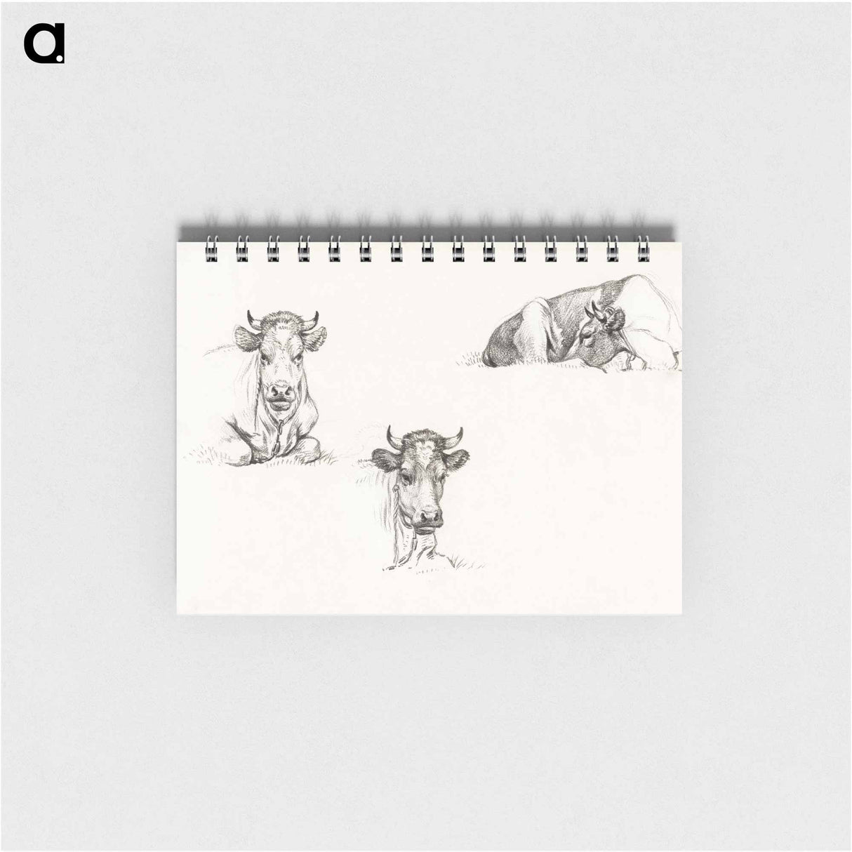 Three sketches of a lying cow - ジャン ベルナール Memo.