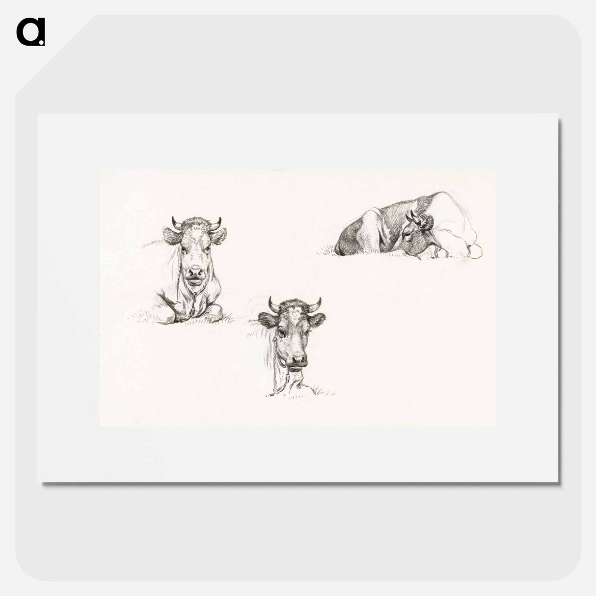 Three sketches of a lying cow - Jean Bernard Poster.