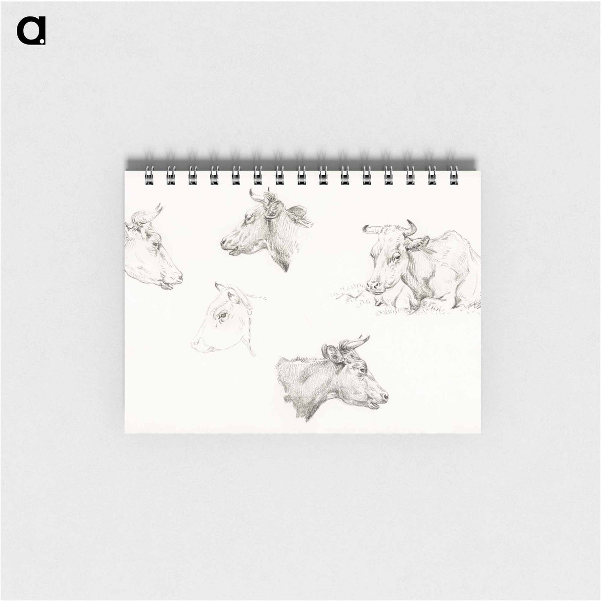 Four study sketches of cows - ジャン ベルナール Memo.