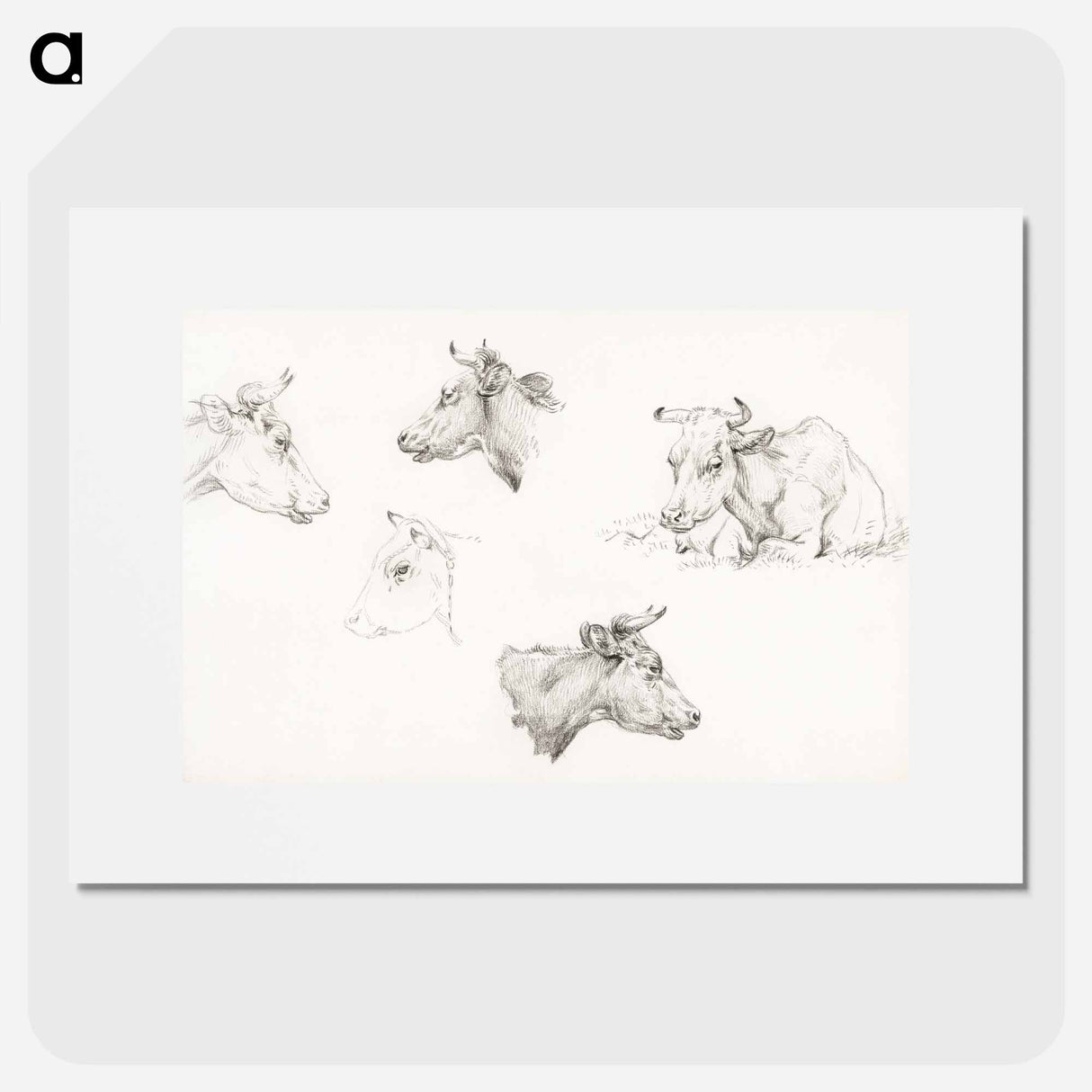 Four study sketches of cows - ジャン ベルナール Poster.