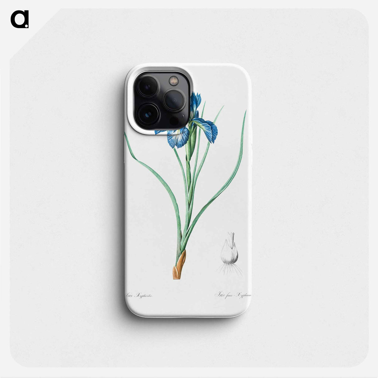 Lris xyphioides illustration from Les liliacées - Pierre Joseph Redouté Phone Case.