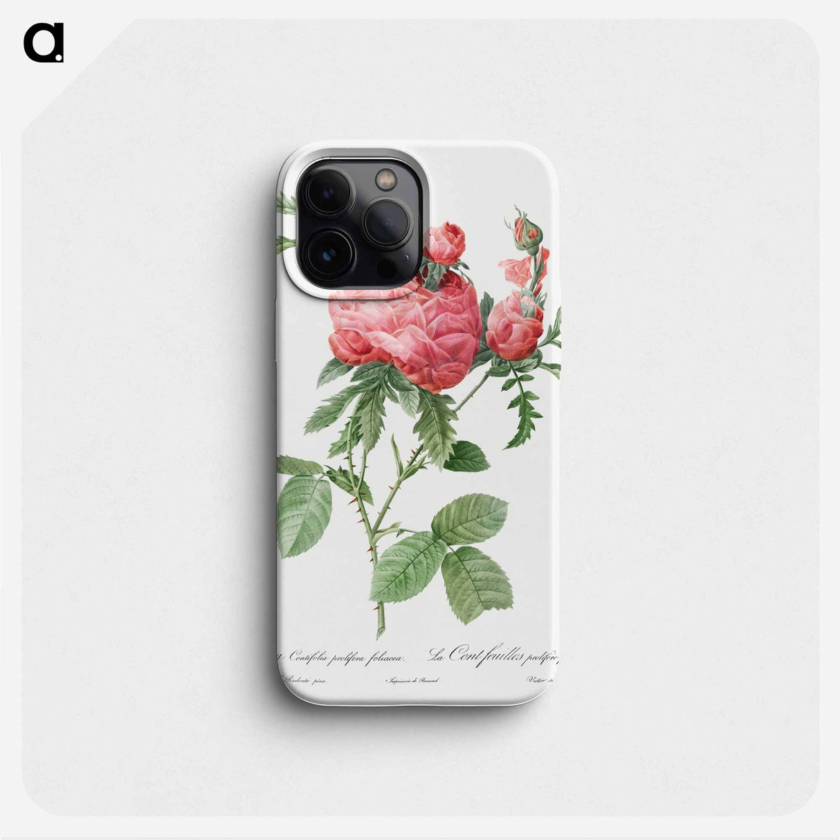 Cabbage Rose bloom - Pierre Joseph Redouté Phone Case.