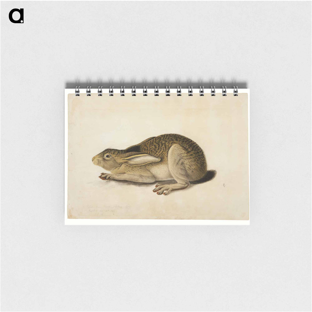 アートメモ帳-Black-Tailed Hare
- セントルイス美術館 Memo.