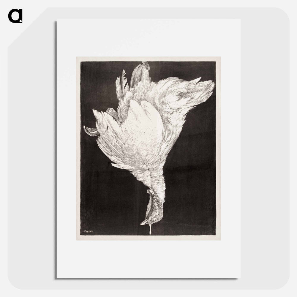 Doode Kalkoen - Theo Van Hoytema Poster.
