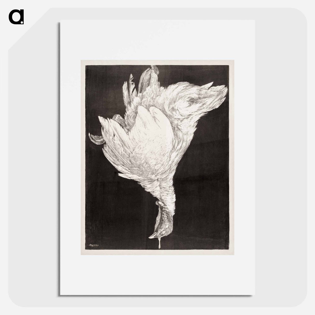 Doode Kalkoen - Theo Van Hoytema Poster.