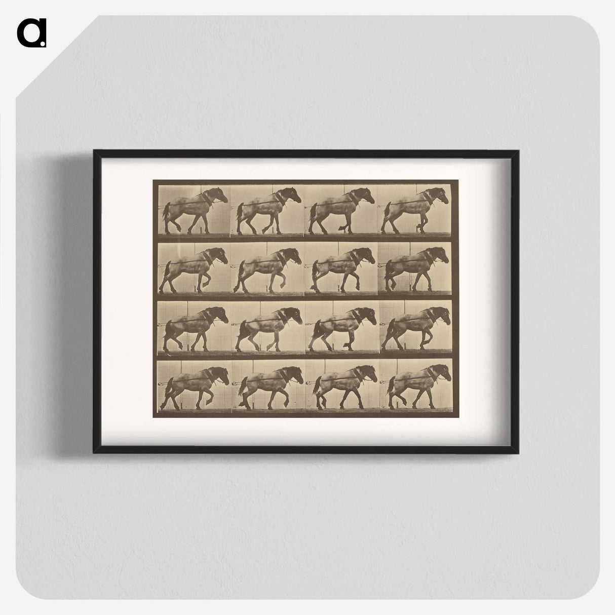 アートポスター-Animal Locomotion
- エドワード マイブリッジ Poster.