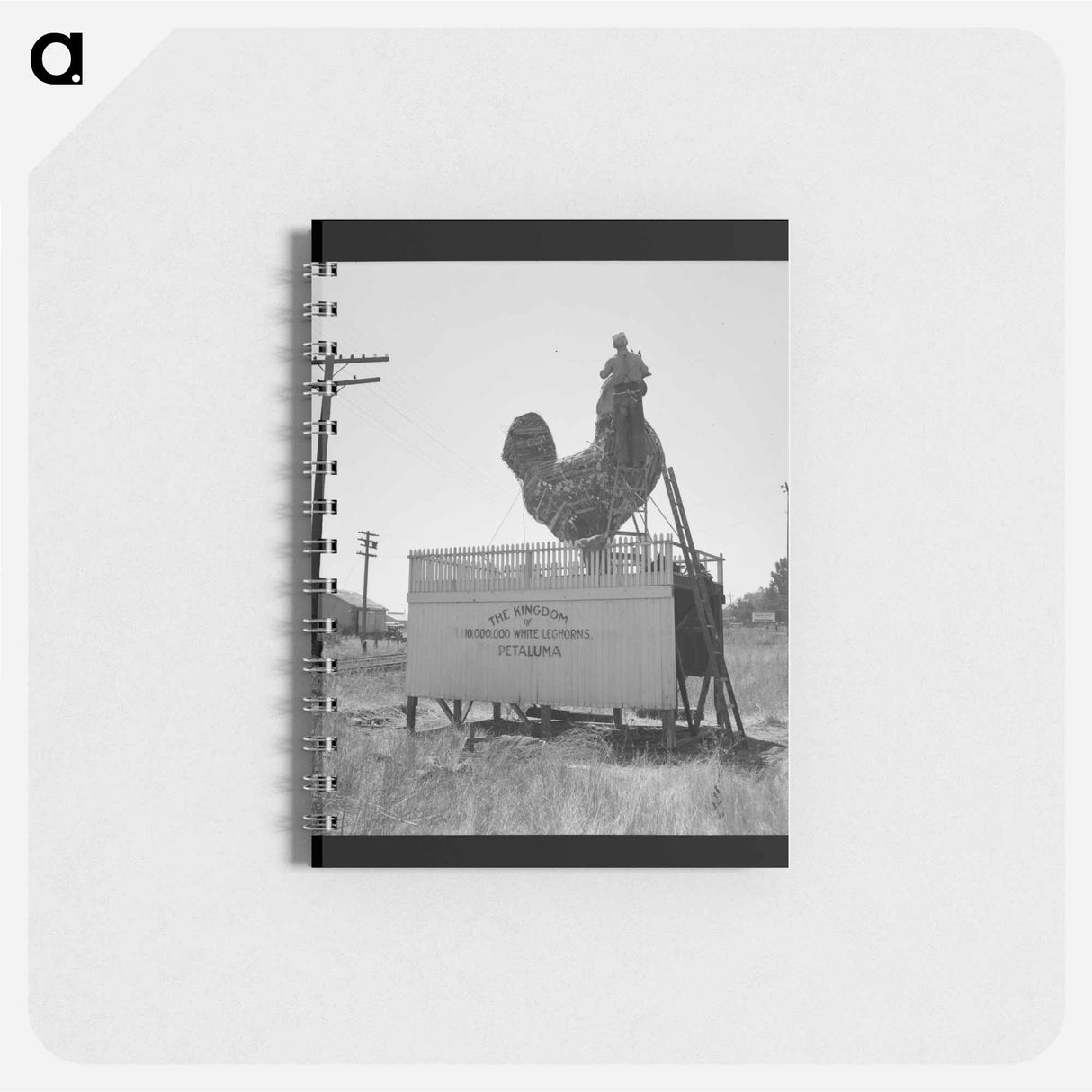 Untitled photo - ドロテア ラング Memo.