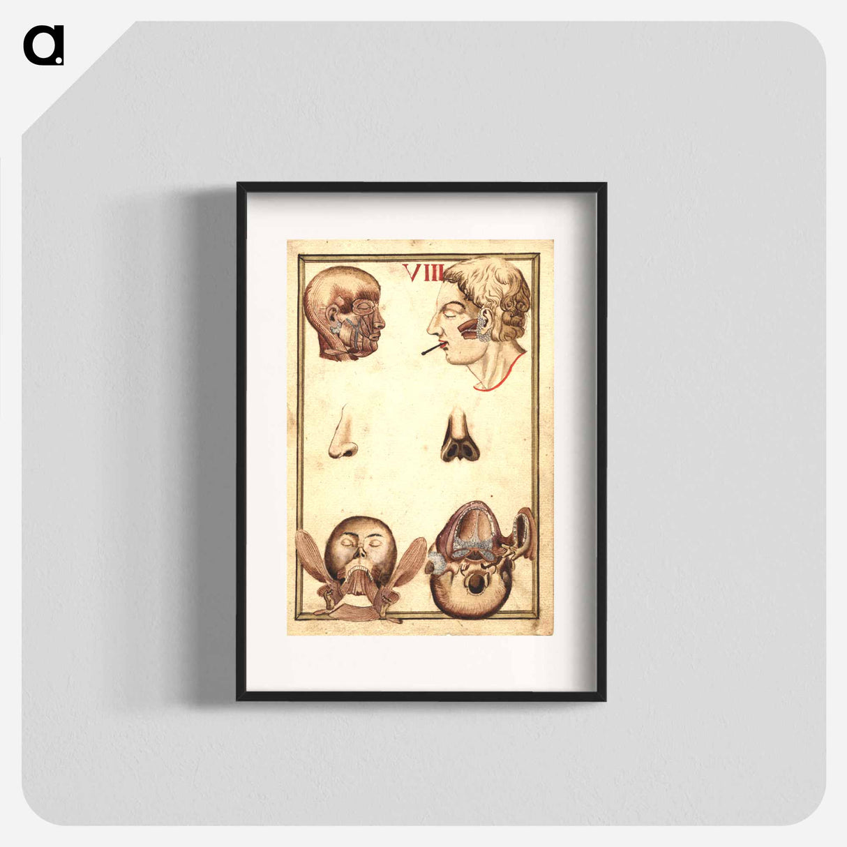アートポスター-Anatomical Study of the Human Head
- 国立医学図書館 Poster.