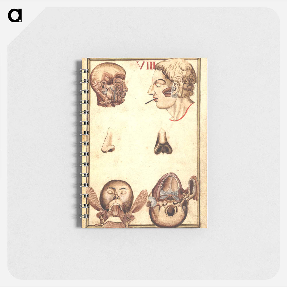 アートメモ帳-Anatomical Study of the Human Head
- 国立医学図書館 Memo.