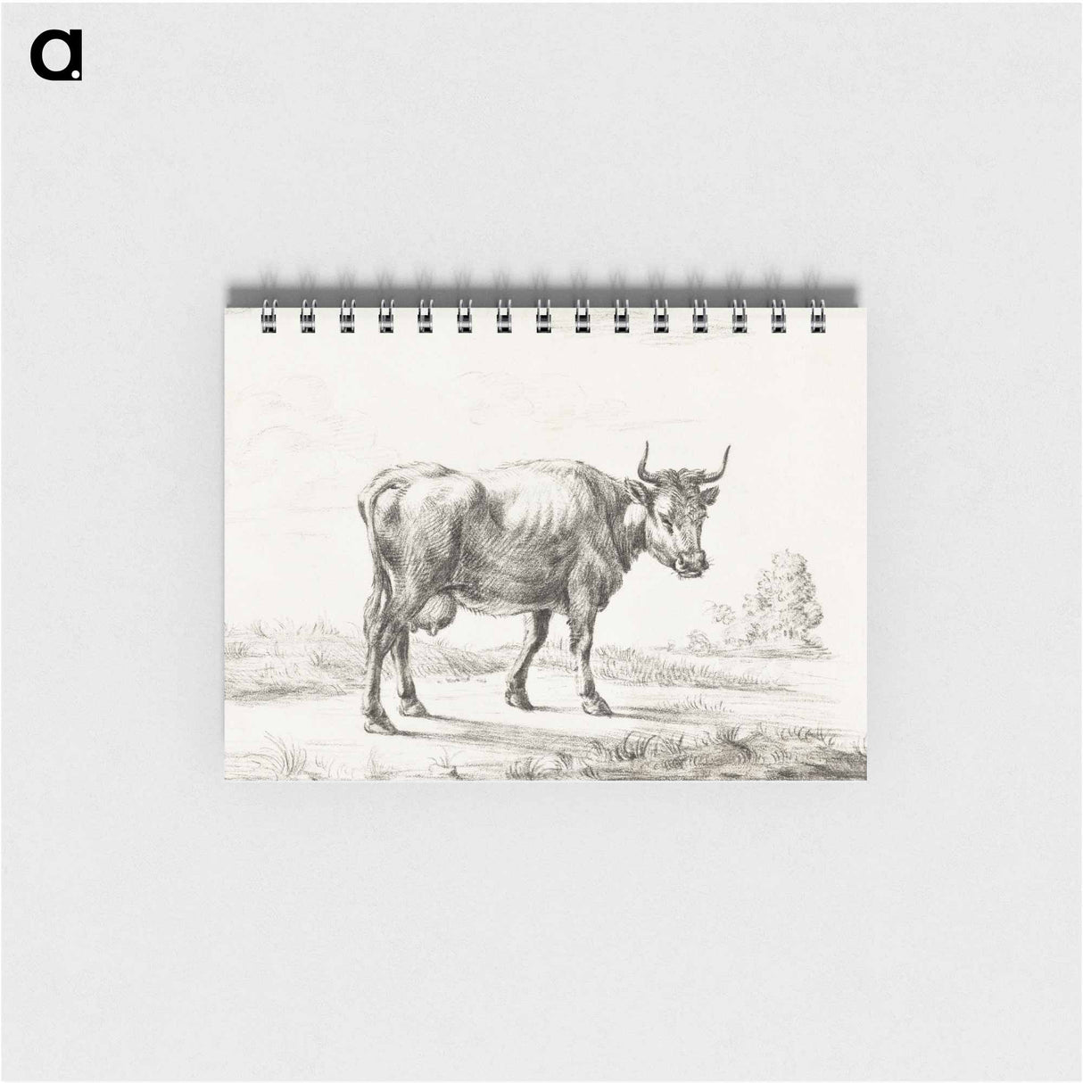 Cow - ジャン ベルナール Memo.